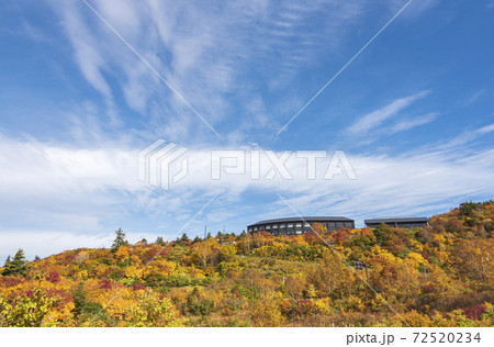 須川温泉の紅葉 72520234