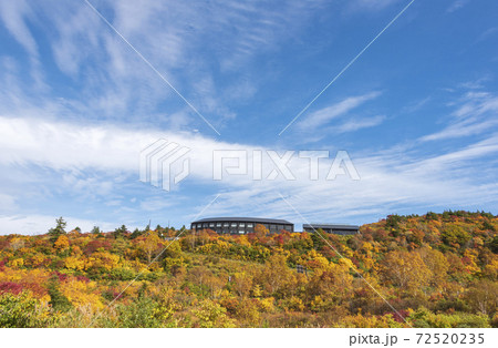 須川温泉の紅葉 72520235