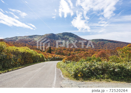 須川温泉の紅葉 72520264