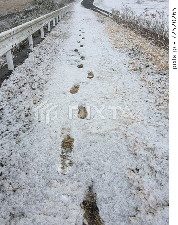 雪の足跡〜どんな道にも軌跡は残る〜 72520265
