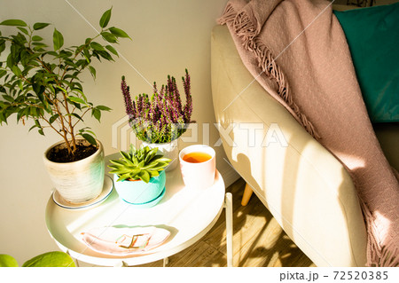 Quite place to drink morning coffee or tea 72520385