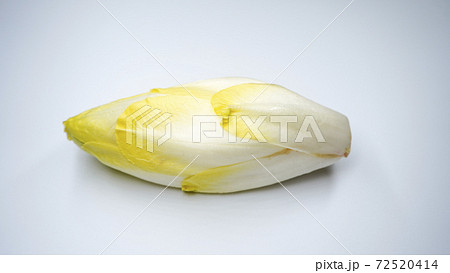 チコリのイメージ画像 チコリのイメージ画像 72520414