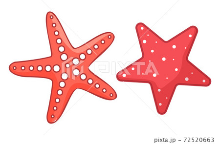 Starfish, sea or ocean symbols isolated at white, coral stars, sea creature, red tropical organism Starfish, sea or ocean symbols isolated at white, coral stars, sea creature, red tropical organism 72520663