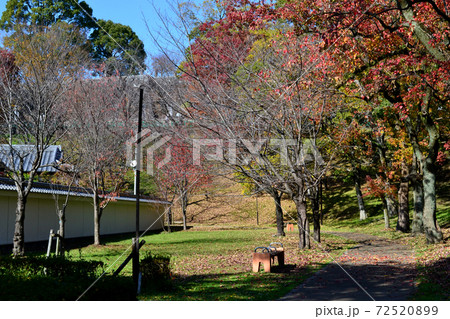 熊本城下　イチョウの黄葉に彩られた桜の馬場「城彩苑」 72520899