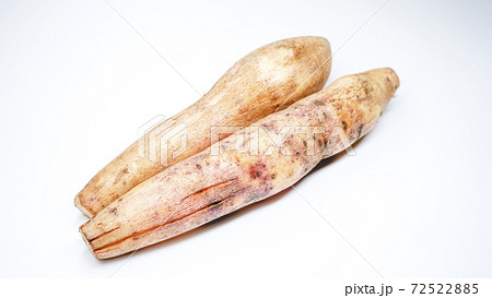 ヤーコンのイメージ 72522885