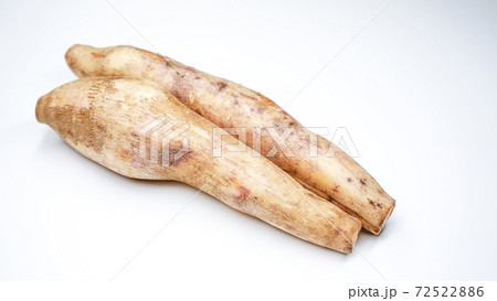 ヤーコンのイメージ 72522886