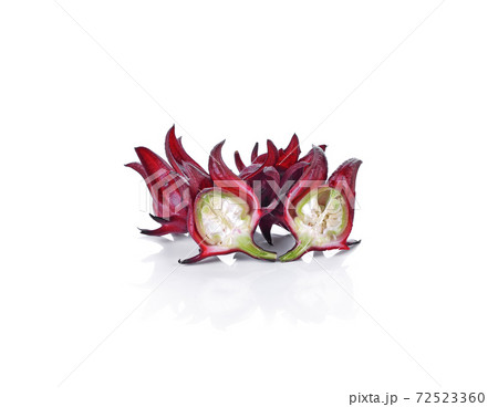 Roselle hibiscus on white background. Roselle hibiscus on white background. 72523360