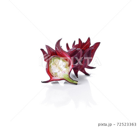Roselle hibiscus on white background. Roselle hibiscus on white background. 72523363