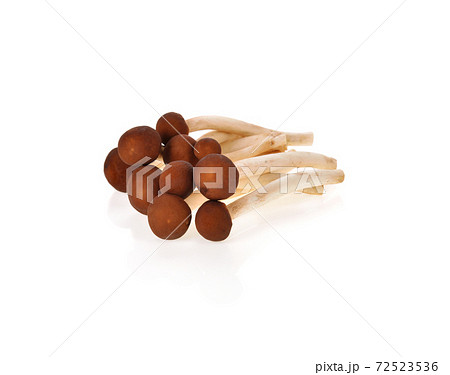 Yanagi-matsutake mushroom on white background 72523536