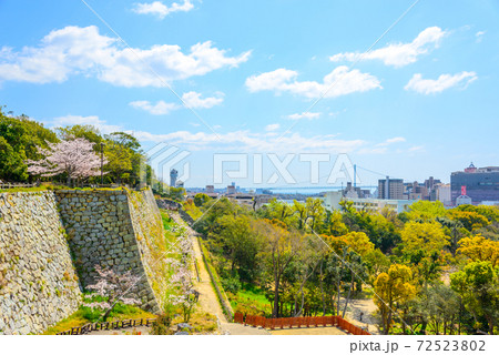 明石市　明石公園と明石市の町並み 72523802