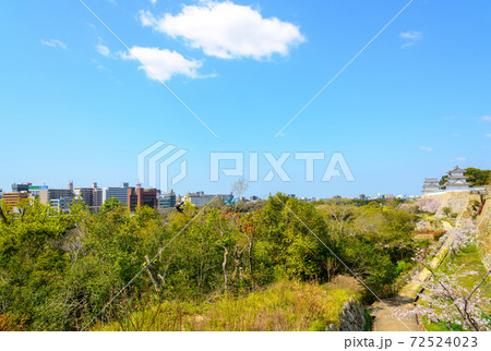 明石市 明石公園と明石市の町並み 明石市 明石公園と明石市の町並み 72524023