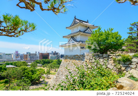 明石市　明石公園と明石市の町並み 72524024