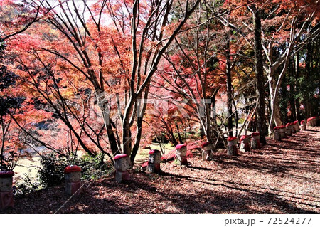 紅葉と赤いニット帽をかぶった石仏たち 紅葉と赤いニット帽をかぶった石仏たち 72524277