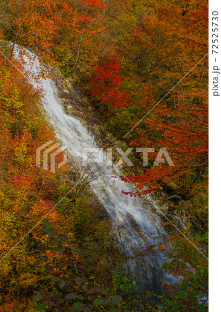 しゃくなげの滝と紅葉(群馬県・四万) しゃくなげの滝と紅葉(群馬県・四万) 72525730