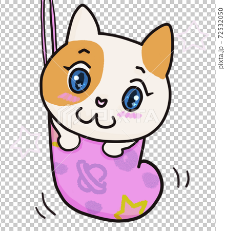 Shoeed cat Shoeed cat 72532050