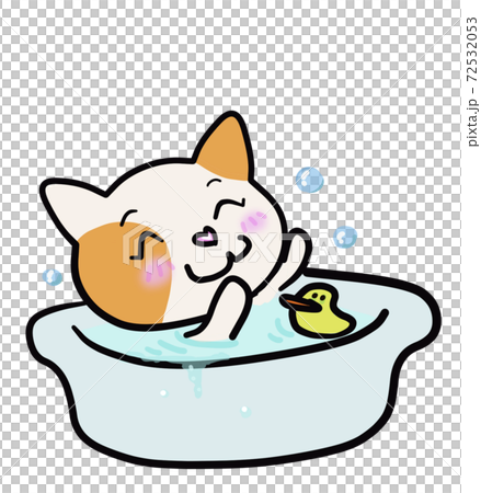 Cat taking a bath Cat taking a bath 72532053