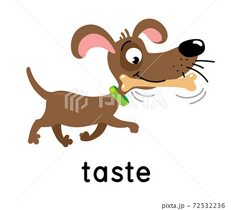 The dog carries a bone. One of five senses. Taste illustration 72532236