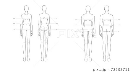 Men standard body parts terminology measurements Illustration for