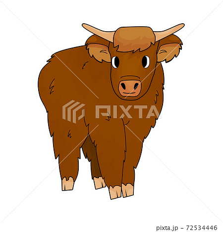Cute Cartoon isolated small Bull highland cow... - Stock Illustration  [72534446] - PIXTA