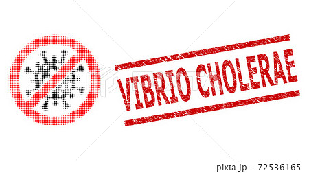 Distress Vibrio Cholerae Stamp and Halftone Dotted Stop Covid-19 Virus Distress Vibrio Cholerae Stamp and Halftone Dotted Stop Covid-19 Virus 72536165