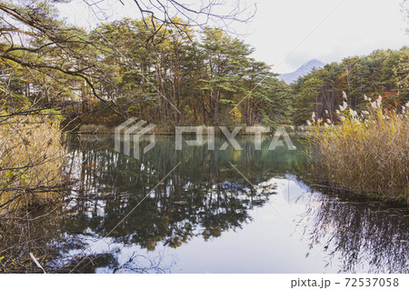 秋の毘沙門沼 (福島県裏磐梯 五色沼湖沼群) 72537058
