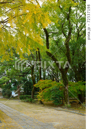 庭園の紅葉 聖福寺 庭園の紅葉 聖福寺 72537198