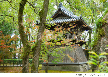 鐘楼と紅葉　聖福寺 72537203