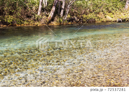 秋の上高地の清流 (長野県松本市) 72537281