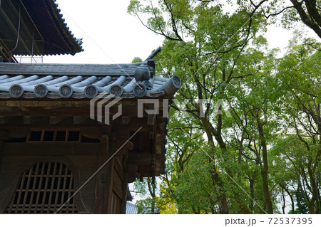 山門の屋根瓦 聖福寺 山門の屋根瓦 聖福寺 72537395