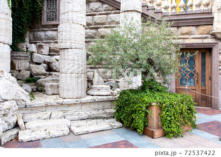 open-air museum near the facade of the building are the stone remains of ancient architecture stone columns of the flute. 72537422