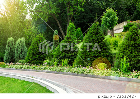 curved pedestrian walkway made of tiles with a stone curb along a flower bed with pine trees, in the background deciduous trees and a green lawn with sun flare. 72537427