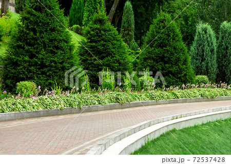 curved pedestrian footpath made of tiles with a stone curb along a pine trees. curved pedestrian footpath made of tiles with a stone curb along a pine trees. 72537428