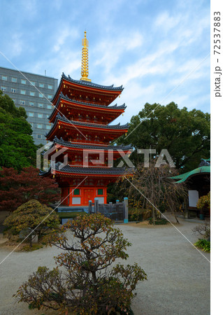 東長寺 五重塔 東長寺 五重塔 72537883