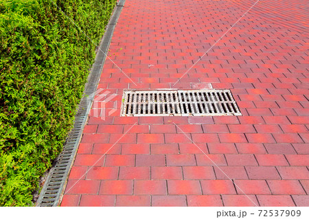 drainage system for storm water drainage from the pedestrian sidewalk along the hedge of evergreen thuja. drainage system for storm water drainage from the pedestrian sidewalk along the hedge of evergreen thuja. 72537909
