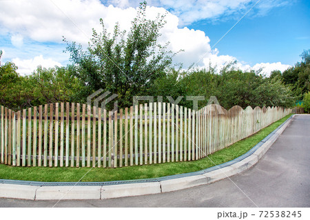an orchard with trees growing behind a wooden fence along a corner road, an asphalt road with a curb and a drainage system on the lawn. an orchard with trees growing behind a wooden fence along a corner road, an asphalt road with a curb and a drainage system on the lawn. 72538245