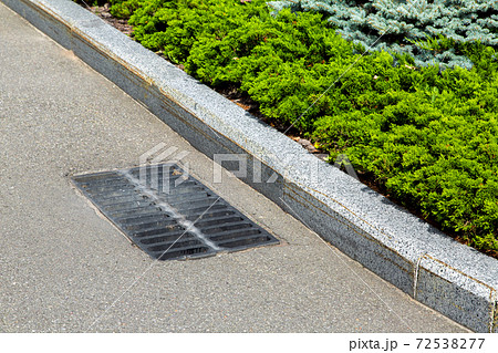 hatch storm system with a grate in the asphalt road surface with a stone curb. and flowerbed with evergreen thuja. 72538277