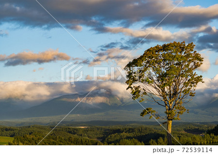 美英 風景 72539114