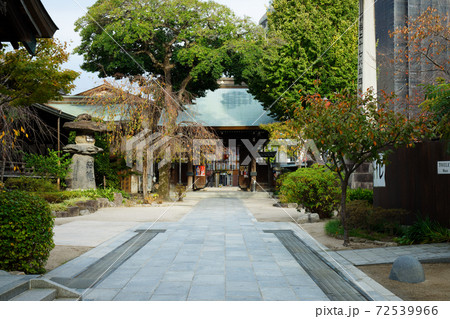 櫛田神社　境内の黄葉など 72539966