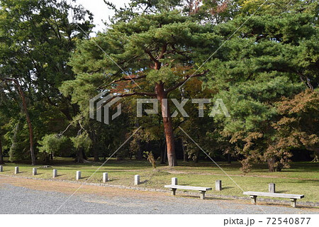 京都御所 京都御所 72540877