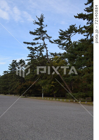 京都御所 京都御所 72540884