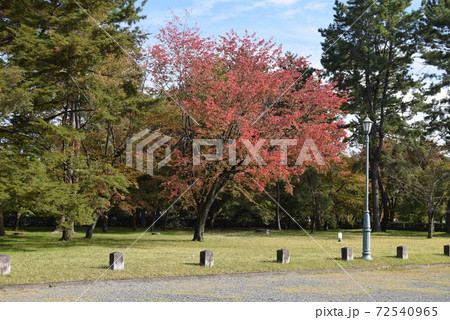 京都御所 京都御所 72540965