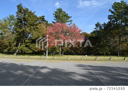 京都御所 京都御所 72541030