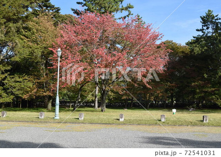 京都御所 京都御所 72541031