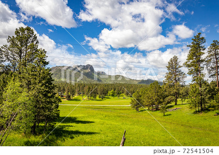 Black Elk Peak Black Elk Peak 72541504