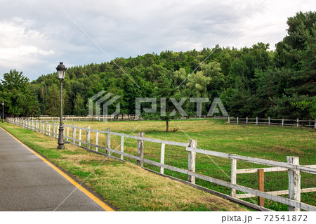 asphalt road with yellow markings on the side of the road iron lantern and a wooden fence a barrier for pasture with grass and trees, nobody. 72541872