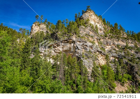 Limestone cliffs in Spearfish Canyon Limestone cliffs in Spearfish Canyon 72541911