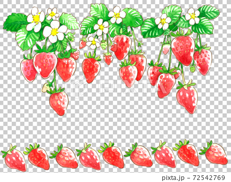苺水彩手描きイラスト 花とたわわ苺のボーダー01のイラスト素材