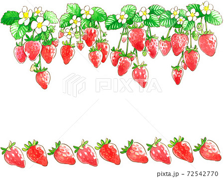 苺水彩手描きイラスト 花とたわわ苺のボーダー02のイラスト素材