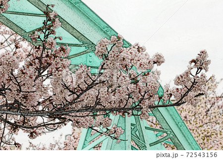 朝日を浴びて生き生きとしているピンク色の花「桜:ソメイヨシノ」と「跨線橋(こせんきょう)」色鉛筆画風 朝日を浴びて生き生きとしているピンク色の花「桜:ソメイヨシノ」と「跨線橋(こせんきょう)」色鉛筆画風 72543156
