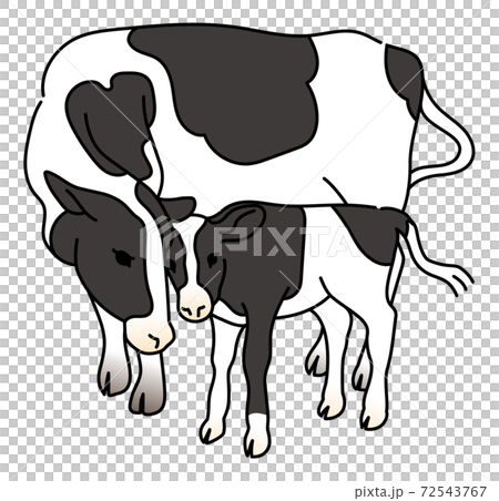 寄り添うホルスタイン牛の親子のイラスト素材